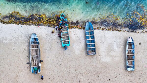 Yeşilin her tonunu barındıran bitki örtüsüyle mavinin sonsuzluğu arasında kalan ada, huzurlu doğasıyla öne çıkıyor. - Sputnik Türkiye