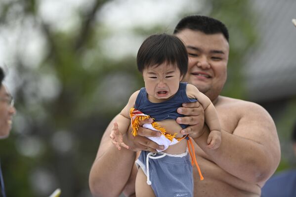 Festivalde sumo ringine çıkan bebekler &quot;Gyoji&quot; adı verilen hakemler tarafından maskeyle korkutulup ağlatılıyor.  - Sputnik Türkiye