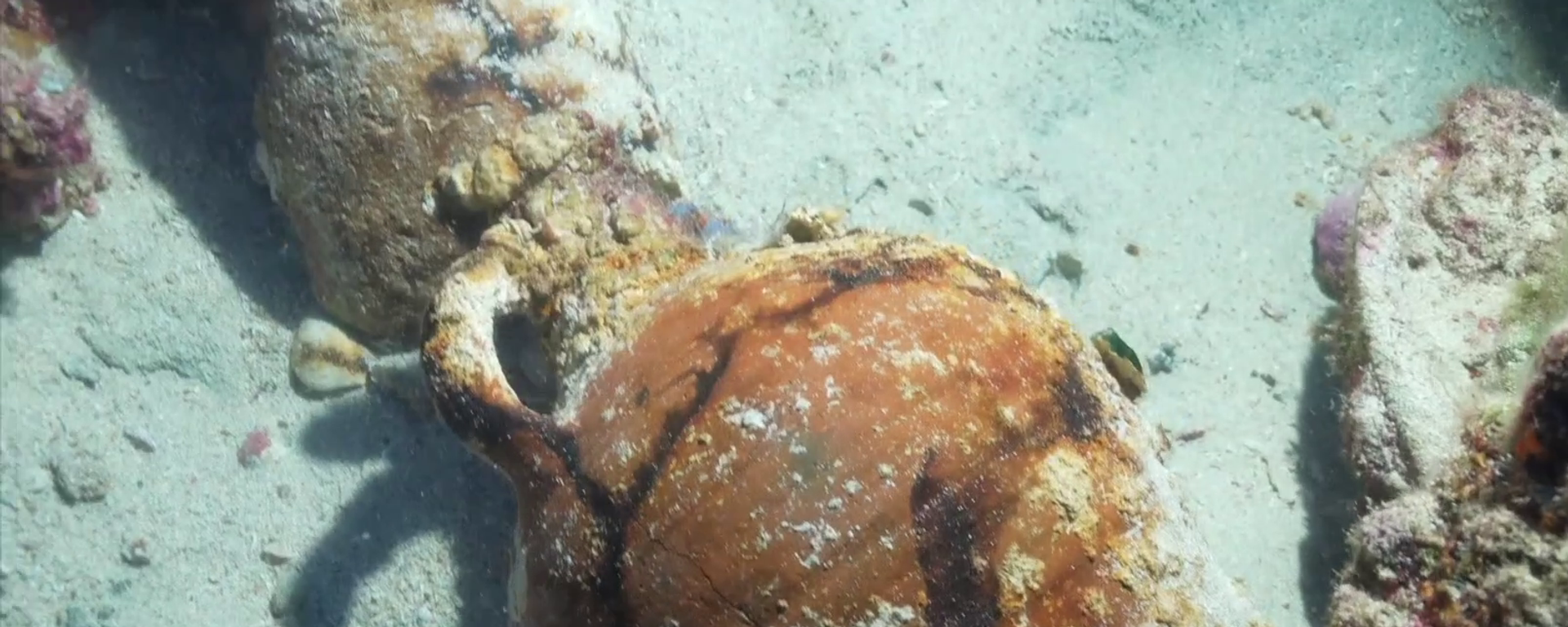 Açılmamış 1100 yıllık amfora bulundu - Sputnik Türkiye, 1920, 28.04.2025