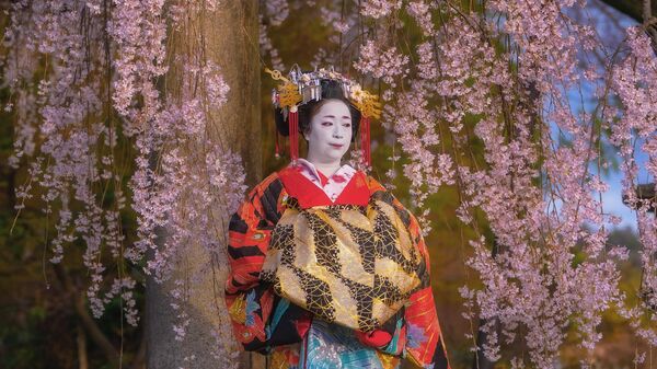 Japonya'nın ikonik sakura ağaçları - Sputnik Türkiye