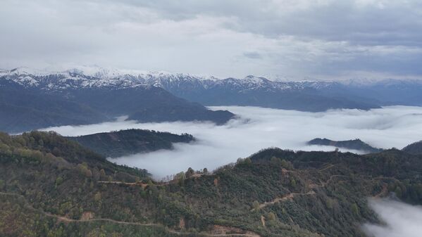 Rize’nin yüksek rakımlı yaylaları yaklaşık 1000 metrenin üstündedir.  - Sputnik Türkiye