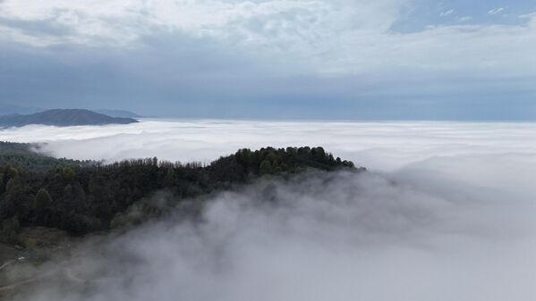 Yaylalar insanların birbirini bereketi simgeleyen gülsuyu ile ıslatması anlamına gelen ve coşkuyla kutlanan bağbozumu bayramı şenlikleriyle ünlüdür. - Sputnik Türkiye