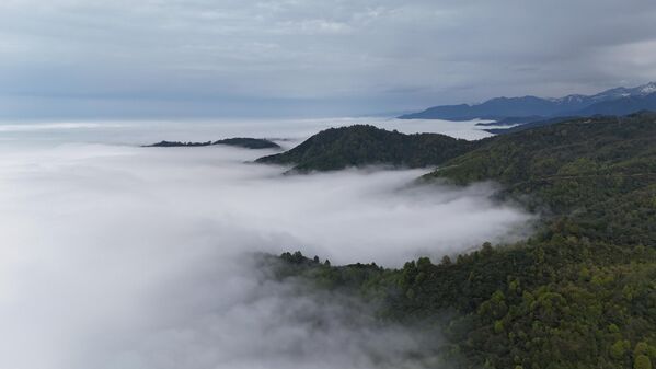 Yayla hayatı Haziran ayının başından Eylül ayının ilk haftasına kadar sürüp giden üç aylık bir dönemi kapsar. - Sputnik Türkiye