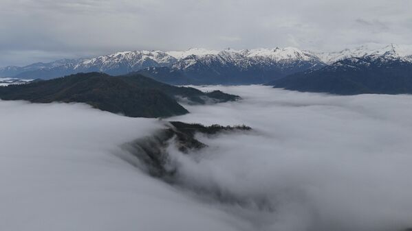 Horon ve sisli manzaralar, yayla yaşamının vazgeçilmezlerindendir. - Sputnik Türkiye