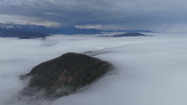 Rize&#x27;nin yüksek rakımları yayları doğa severlerin listesinde üst sıralarda yer alıyor.  - Sputnik Türkiye