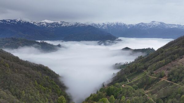 Karadeniz’e gittikten sonra yayla havası almadan geri dönmek olmaz. - Sputnik Türkiye
