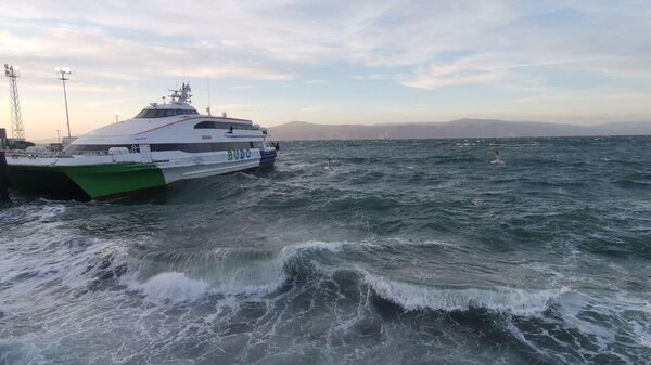 BUDO, Bursa Deniz Otobüsleri - Sputnik Türkiye
