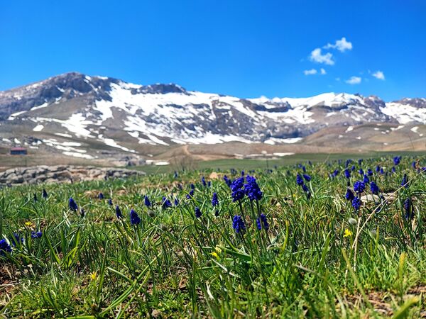 Toroslar’ın 3 bin metreyi aşan zirveleri ve sarp kayalıkları, doğaseverlerin her yıl ilgiyle takip ettiği doğal dönüşümle birlikte farklı bir güzelliğe büründü. - Sputnik Türkiye