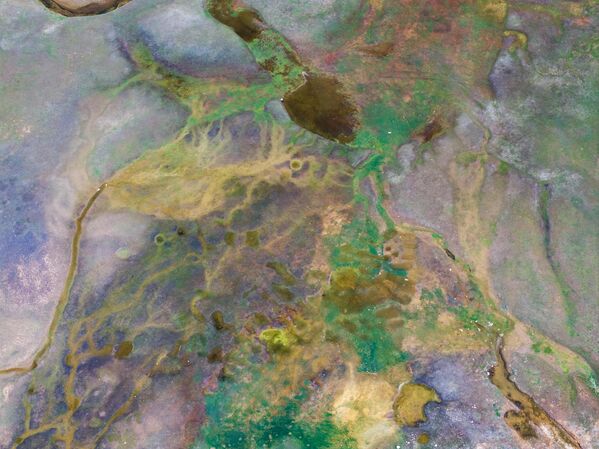 Torosların çevrelediği Antalya’nın Alanya ve Gündoğmuş ilçelerinin yaylaları baharın gelişiyle çok sayıda çiçekle bezenirken, eriyen kar sularıyla beslenen su kaynakları ve yeşeren bitki örtüsü, bölgeye canlılık katıyor.  - Sputnik Türkiye