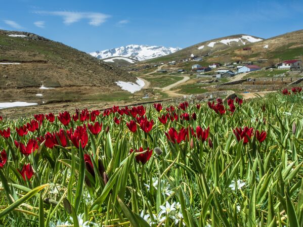 Türkiye&#x27;nin güneyinde uzanan Toros Dağları, 3 bin metreyi aşan zirveleri, sarp kayalıkları ve zengin bitki örtüsüyle dikkati çekiyor. - Sputnik Türkiye