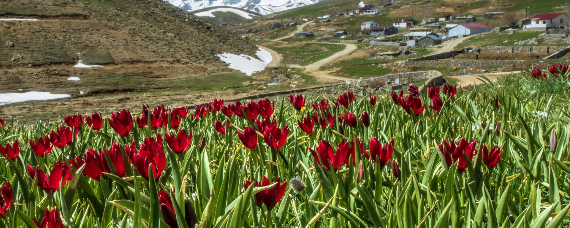 Antalya'nın yüksek kesimleri baharın gelişiyle canlandı - Sputnik Türkiye, 1920, 29.04.2025