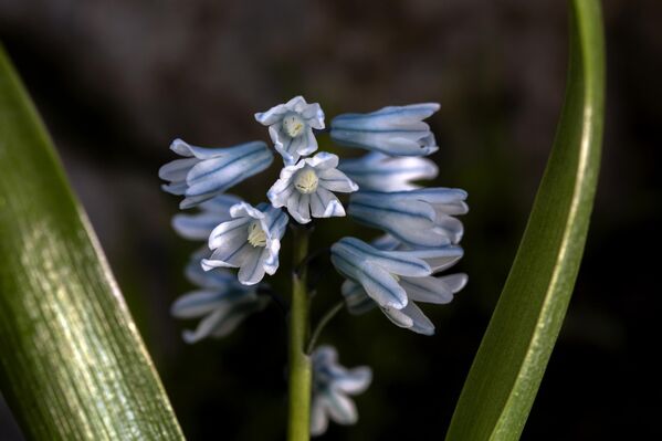 Adıyaman sınırında yer alan bu özel coğrafya, hem doğa tutkunları hem de bilim insanları için keşfedilmeyi bekleyen doğal bir laboratuvar niteliği taşıyor. - Sputnik Türkiye