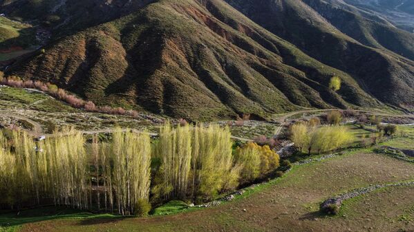 Porga Vadisi’nin en çarpıcı yönlerinden biri, kendine has iklim koşullarıyla oluşan zengin bitki örtüsü. - Sputnik Türkiye