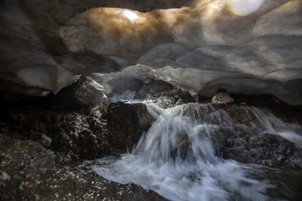 İlkbahar ve yaz aylarında yeşilin bin bir tonunu barındıran vadide, doğal yaylalar, endemik bitkiler ve farklı çiçek türleri göz kamaştırıyor. - Sputnik Türkiye