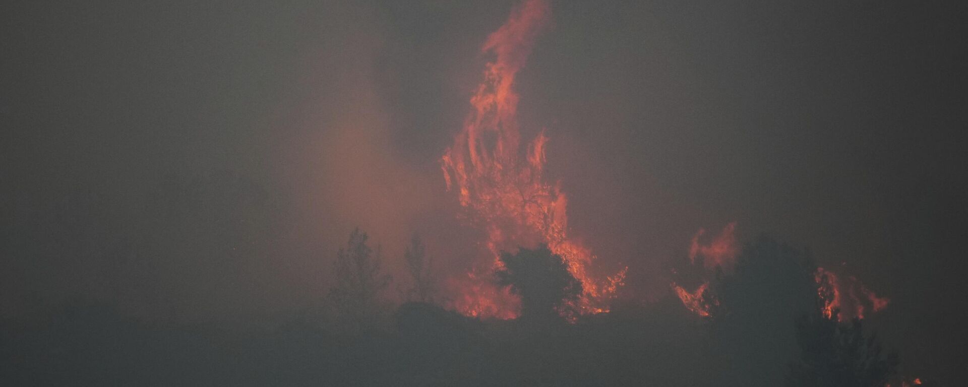 A forest fire is burning near Latrun, Israel, Wednesday, April 30, 2025. - Sputnik Türkiye, 1920, 01.05.2025