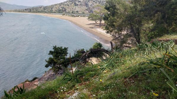Muğla’nın Ortaca ilçesinde yer alan ve doğal güzelliğiyle olduğu kadar deniz kaplumbağalarının yaşam alanı olmasıyla da tanınan İztuzu Plajı’nda caretta carettaların yumurtlama sezonu başladı. - Sputnik Türkiye
