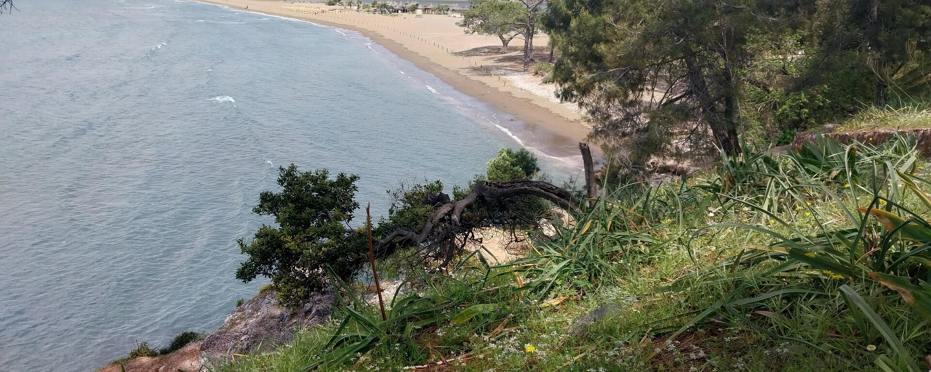 Muğla'da caretta carettalar İztuzu sahiline yumurta bırakmaya başladı - Sputnik Türkiye, 1920, 03.05.2025