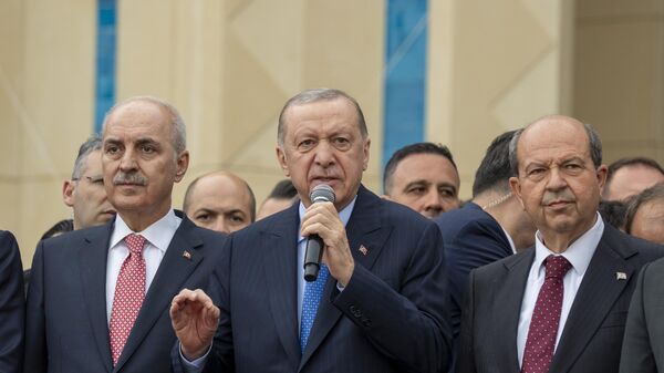 Cumhurbaşkanı Erdoğan - Sputnik Türkiye