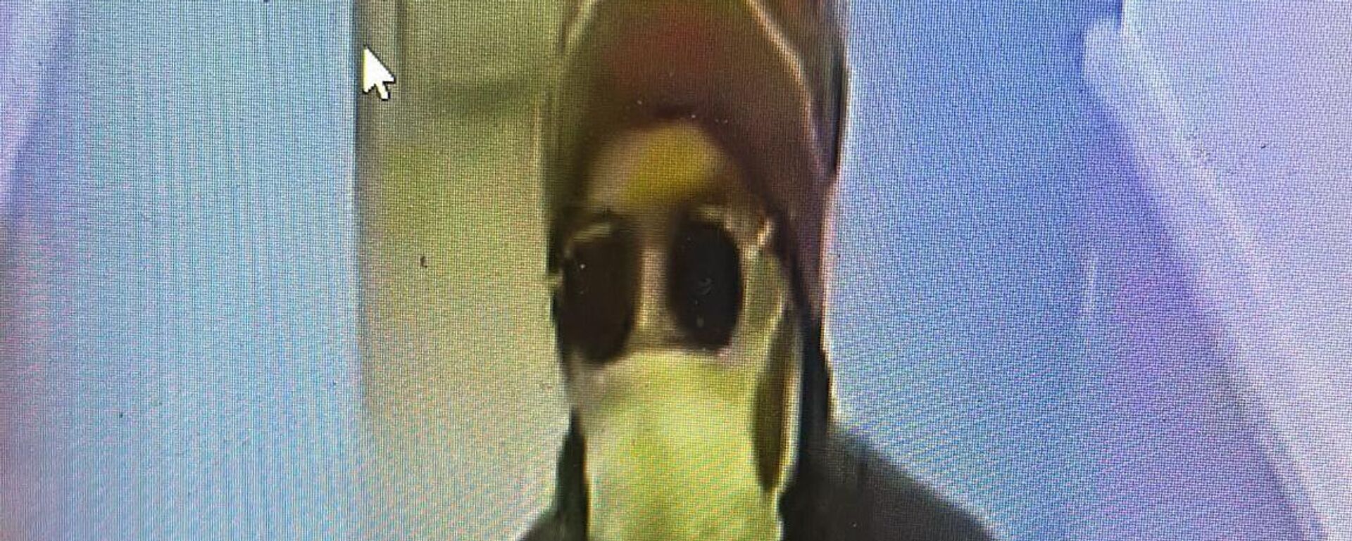 Polis 25 saatlik görüntüleri izledi: İki kardeşi katleden zanlı yakalandı - Sputnik Türkiye, 1920, 08.05.2025