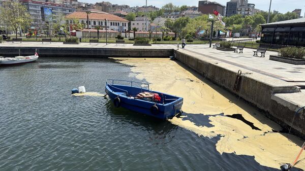 Musilaj - Sputnik Türkiye