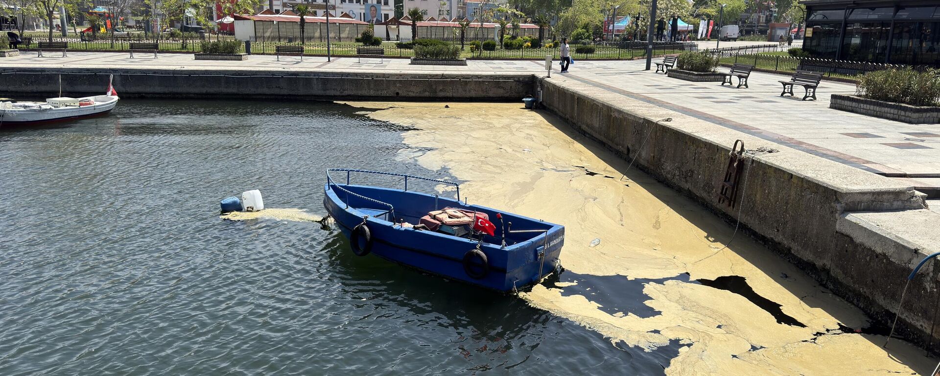 Musilaj - Sputnik Türkiye, 1920, 08.05.2025