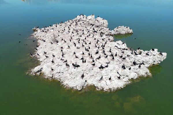 Tarih öncesi dönemlerde aktif olduğu tahmin edilen Çakallar ve Sindel volkanlarının oluşturduğu bu bazalt yapılar, zamanla kuşlar için doğal yaşam alanlarına dönüştü. - Sputnik Türkiye