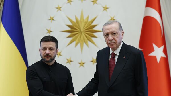 Cumhurbaşkanı Erdoğan ile Zelenskiy görüşmesi başladı - Sputnik Türkiye