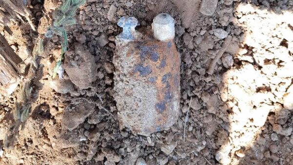 Patlamamış el bombası - Sputnik Türkiye