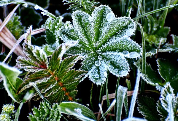 İlçede hava sıcaklığı gece saatlerinde sıfırın altında 2 dereceye düştü. - Sputnik Türkiye