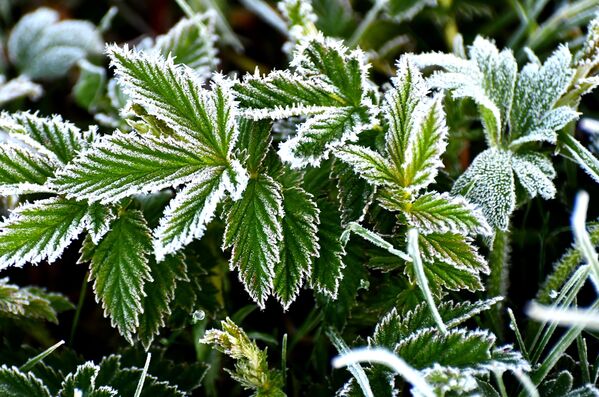 Soğuk nedeniyle Çamaşır Deresi&#x27;ndeki küçük göletlerin donduğu aktarıldı. - Sputnik Türkiye