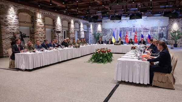 rusya ukrayna türkiye dolmabahçe - Sputnik Türkiye