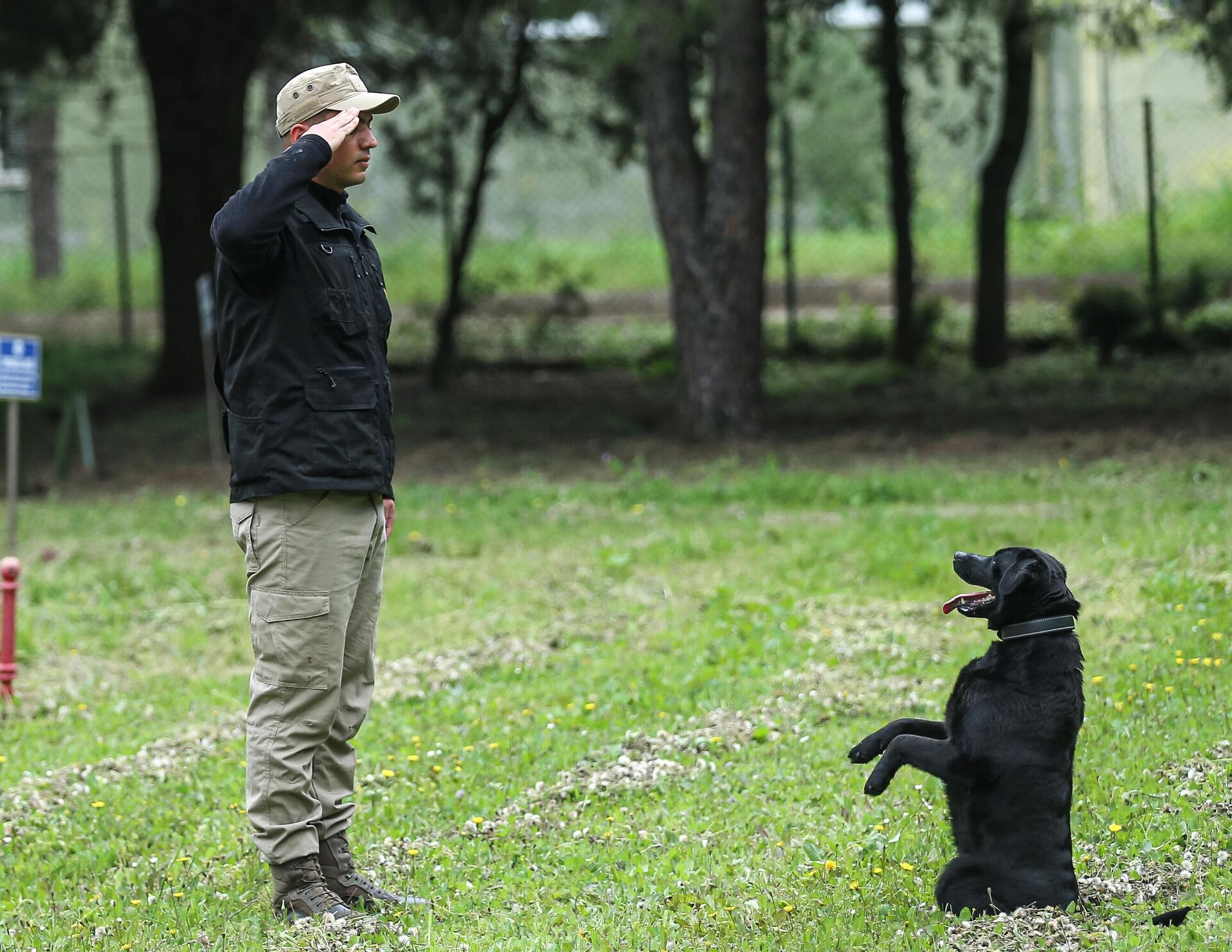 köpek eğitimi - Sputnik Türkiye, 1920, 17.05.2025