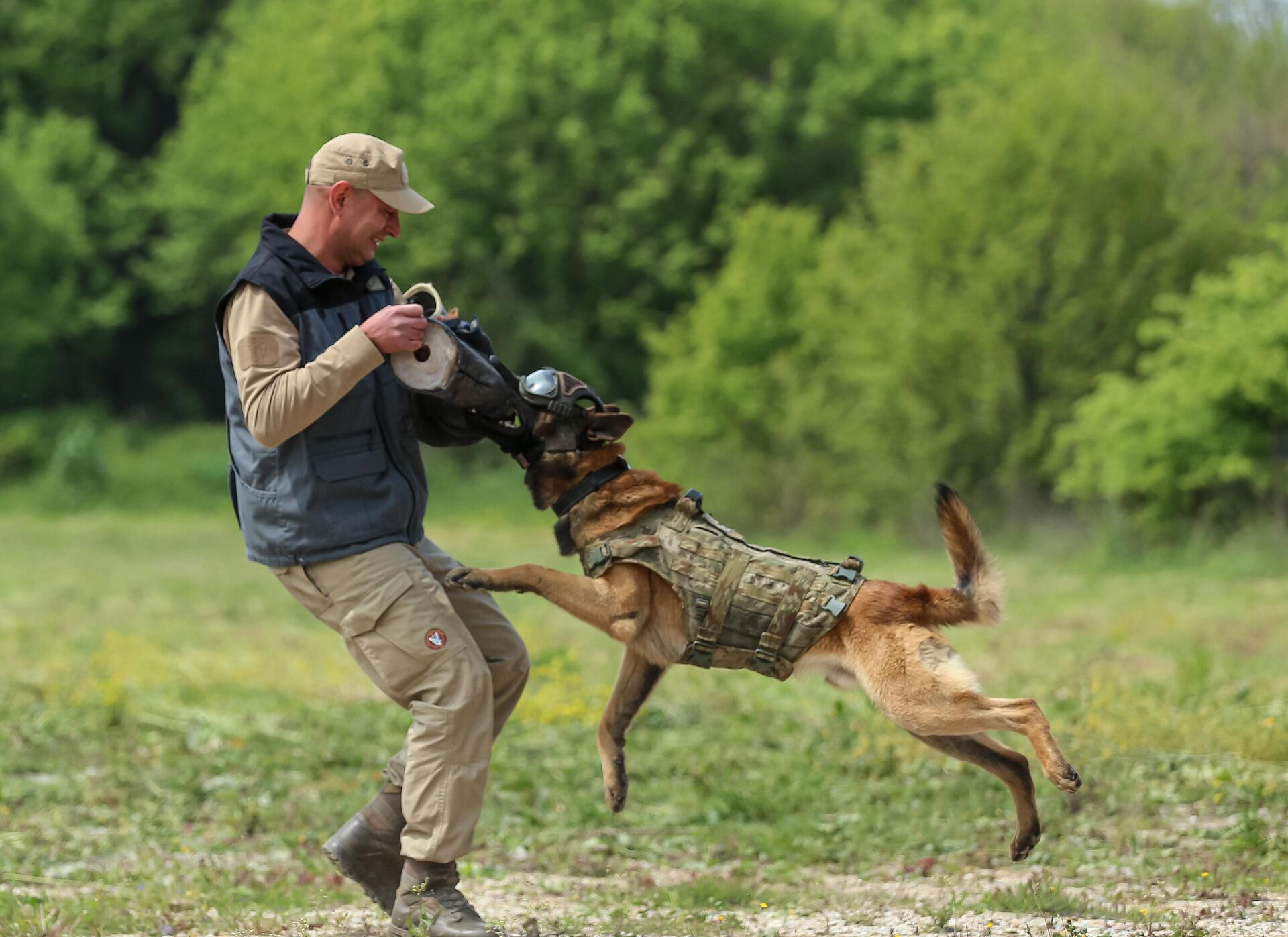 köpek eğitimi - Sputnik Türkiye, 1920, 17.05.2025