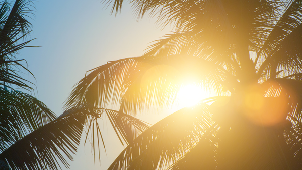 Meteoroloji uyardı: Termometreler 30 derecenin üstüne çıkıyor, kıyı illerinde sağanak yağış var - Sputnik Türkiye