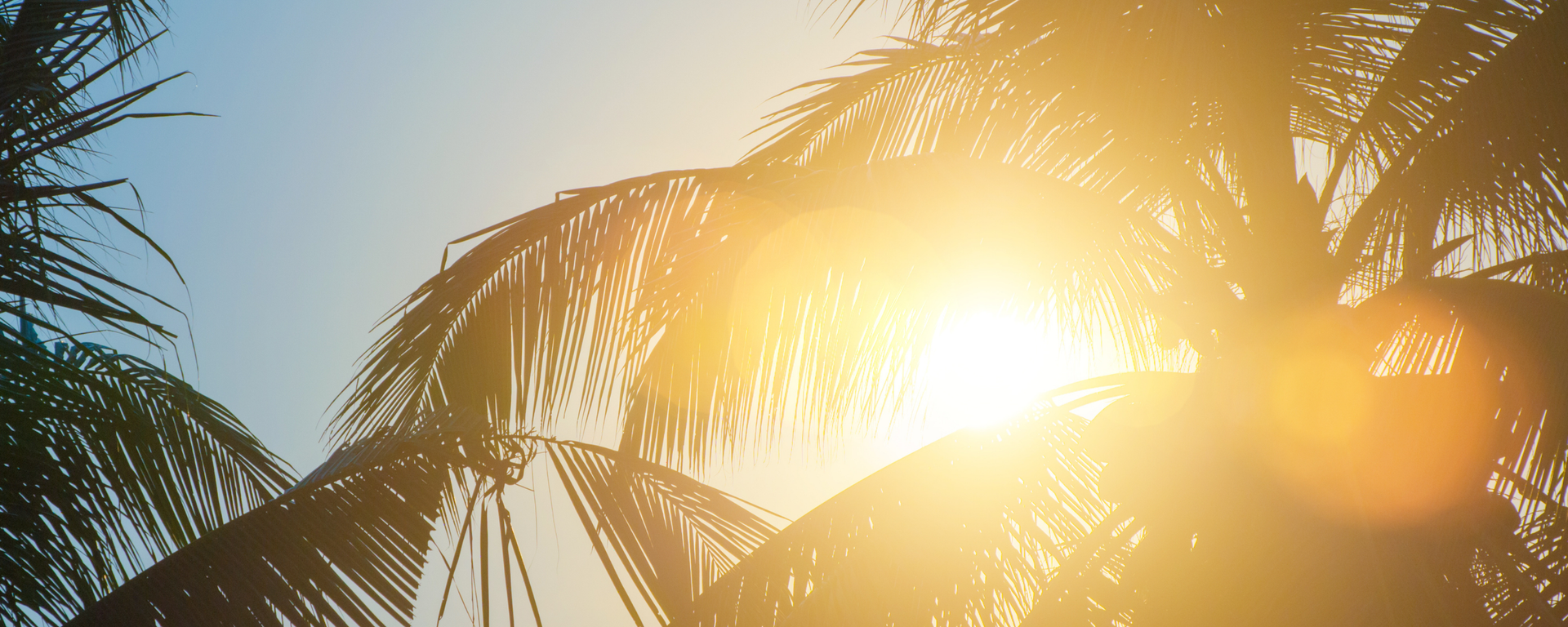 Meteoroloji uyardı: Termometreler 30 derecenin üstüne çıkıyor, kıyı illerinde sağanak yağış var - Sputnik Türkiye, 1920, 31.10.2025