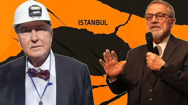 Prof. Dr. Ahmet Ercan ve Naci Görür - Sputnik Türkiye
