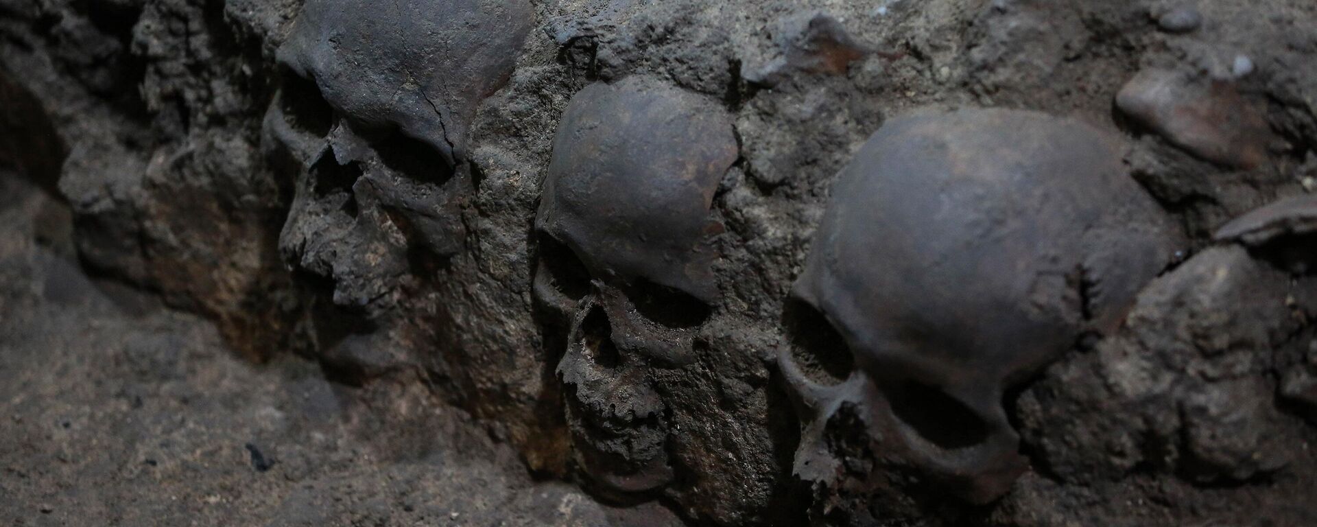 AZTEK, KAFATASI - Sputnik Türkiye, 1920, 19.11.2025