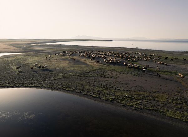 13 kilometrekare büyüklüğünde bir alanı kaplayan volkanik set gölünde su seviyesi; kuraklık, açılan kuyular ve bilinçsiz tarımsal sulamanın da etkileriyle her yıl daha da düşmekte. - Sputnik Türkiye