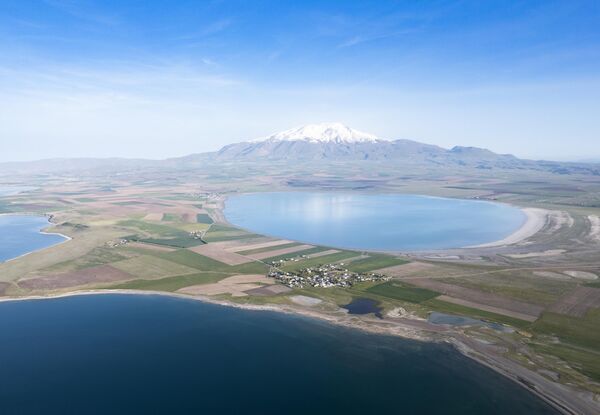 Bölgedeki besiciler de metrelerce çekilmenin ardından yeşeren alanlarda küçük ve büyükbaş hayvanlarını otlatıyor.  - Sputnik Türkiye