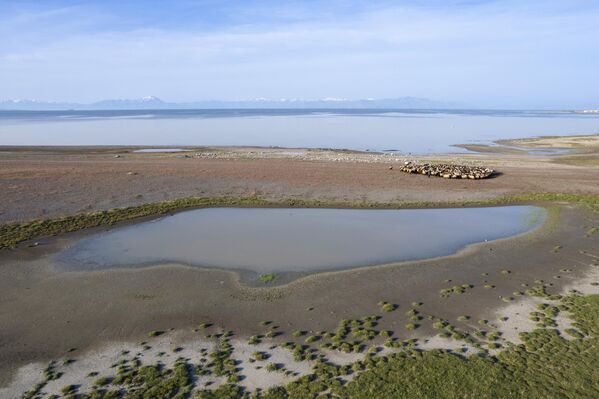 İklim değişikliği, kuraklık ve yağışların azalması, Van Gölü gibi Süphan Dağı&#x27;nın eteklerinde yer alan Arin Gölü&#x27;nün de alan kaybetmesine yol açıyor.  - Sputnik Türkiye