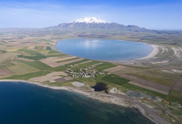 Bitlis&#x27;in Adilcevaz ilçesinde yer alan Arin Gölü&#x27;nde su seviyesinin düşmesiyle ortaya çıkan alanlar, hayvanların otlatıldığı yerlere dönüştü. - Sputnik Türkiye