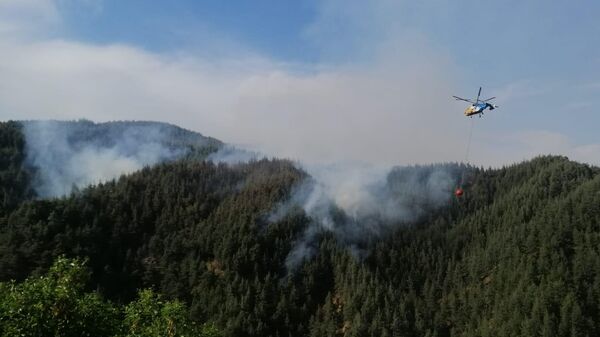 Orman Yangını - Sputnik Türkiye