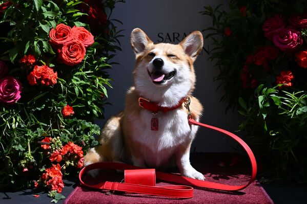 Bu yıl 20’ncisi düzenlenen festivalin teması “Moda İçinde Çiçekler” (Flowers in Fashion) olarak belirlendi. - Sputnik Türkiye