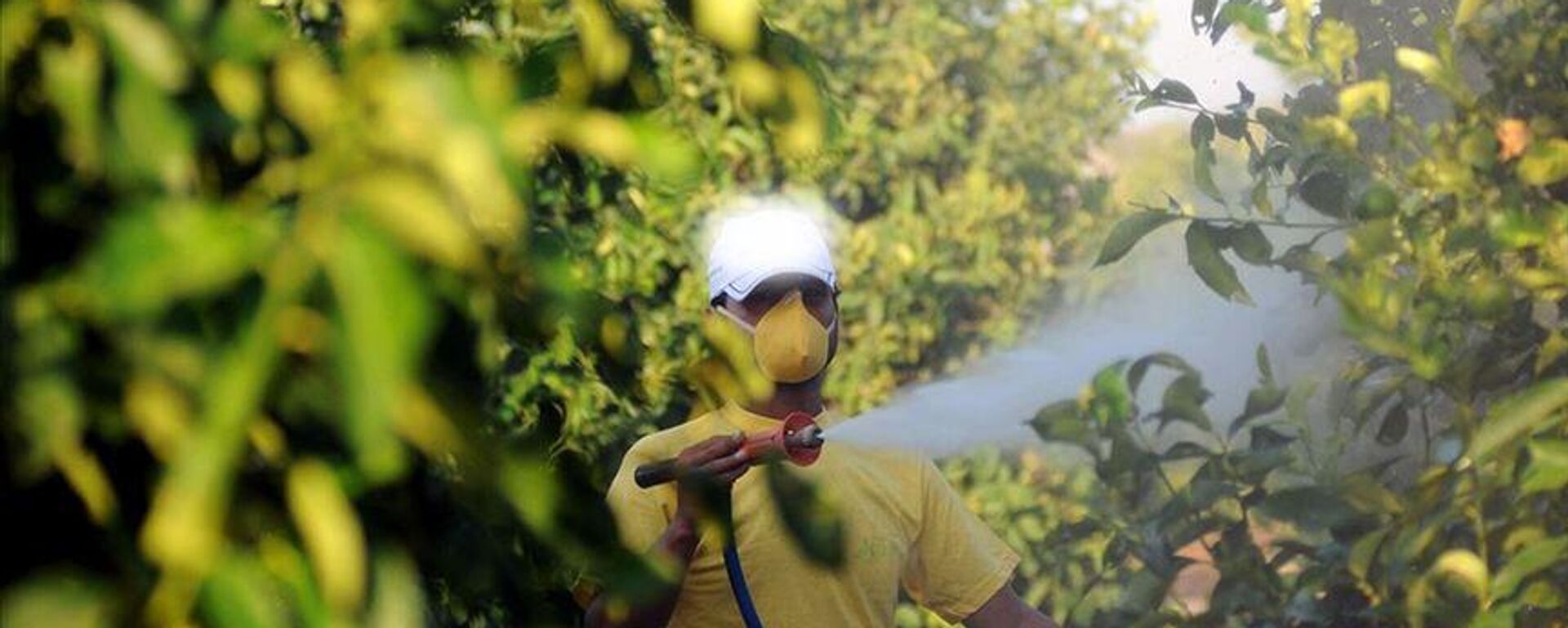 Tarım ilacı - Sputnik Türkiye, 1920, 24.05.2025