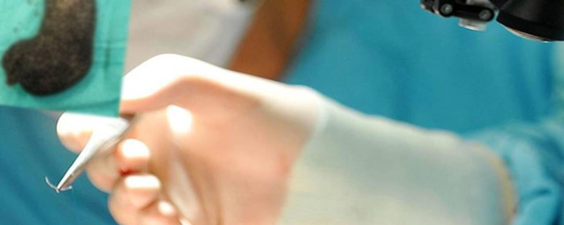 Saç yumağı - Sputnik Türkiye, 1920, 26.05.2025