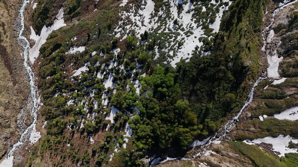 Kaçkarlar&#x27;da uyanan doğa, görsel bir şölen sunuyor. - Sputnik Türkiye