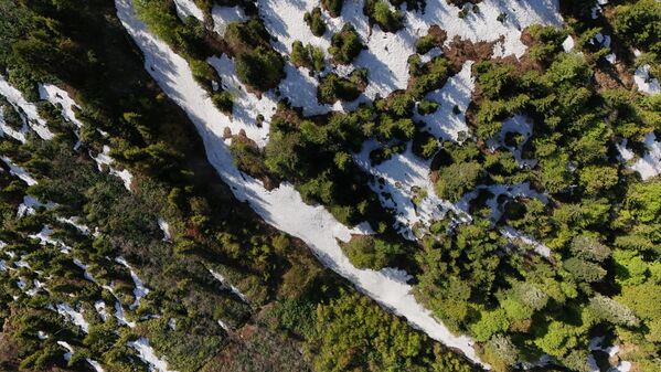 Rize&#x27;nin Çamlıhemşin ilçesindeki doğal güzellikleriyle ünlü Kaçkar Dağları&#x27;nda, karların erimesiyle tabiat canlanmaya başladı. - Sputnik Türkiye