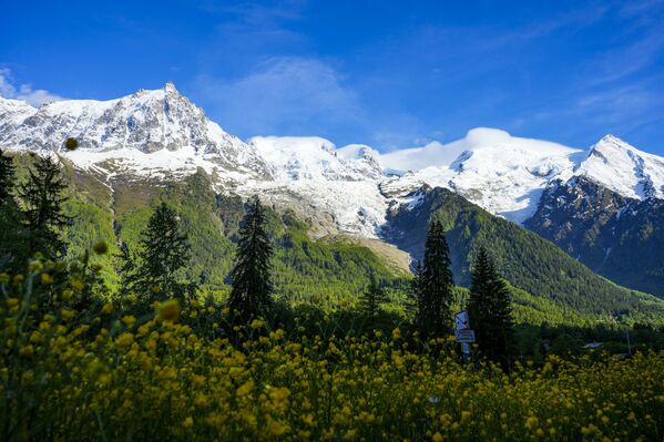 Felaketin habercisi haftalar öncesinden gelmişti. Kleiner Nesthorn zirvesinden sarkan kaya kütleleri buzulun dengesini bozmuş, yetkililer halkı olası bir çökme riskine karşı uyarmıştı. Uyarılar sayesinde yaklaşık 300 kişilik nüfusun tamamı, evcil hayvanlarla birlikte köyden tahliye edildi. Ancak 64 yaşındaki bir erkekten hala haber alınamıyor. - Sputnik Türkiye