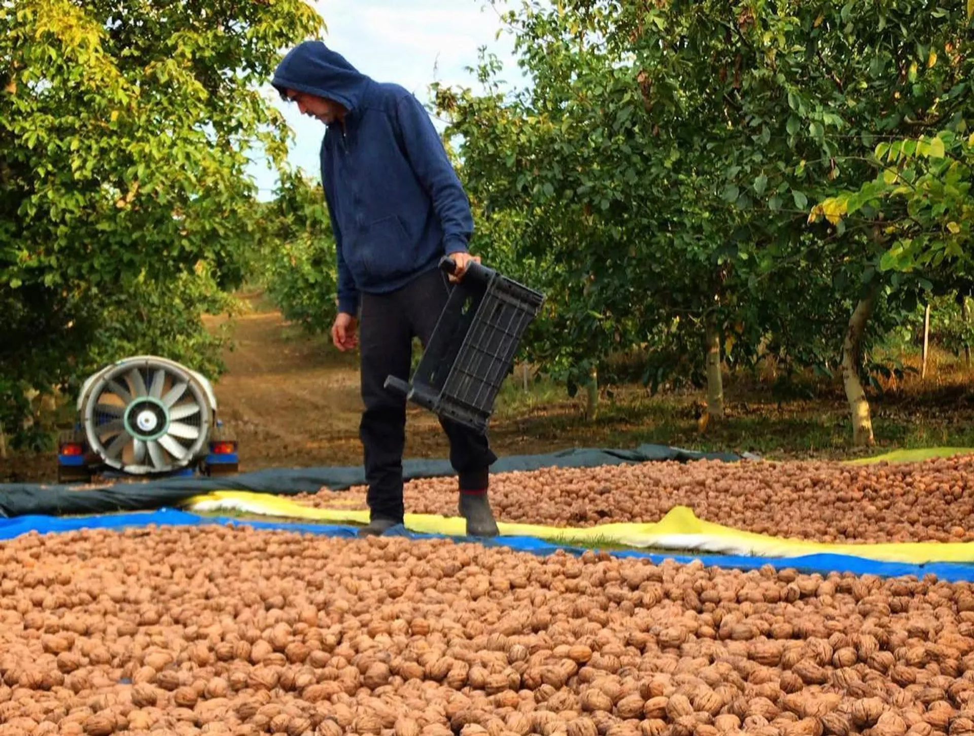 Burak Hakkı sosyal medya - Sputnik Türkiye, 1920, 30.05.2025