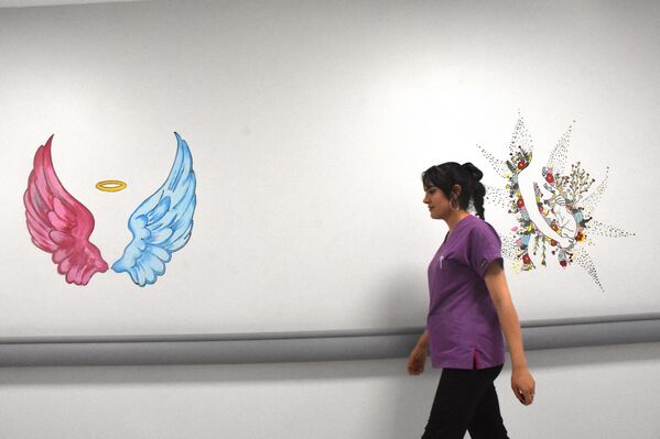 Van’ın Gevaş ilçesinde bir grup gönüllü genç, hastane koridorlarını sanatla buluşturdu. Van’ın Gevaş ilçesinde bir grup gönüllü genç, hastane koridorlarını sanatla buluşturdu. - Sputnik Türkiye